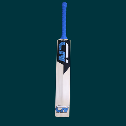T20 Hitter